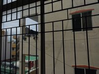Balcony 2