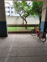 parkings 1