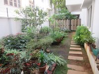 Garden 1