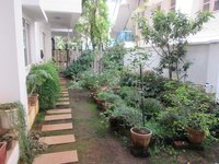Garden 1