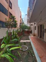 Garden 1