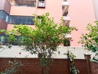 Garden 1
