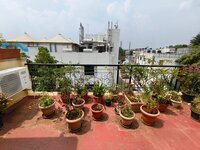 Terrace 1