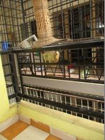 Balcony 1