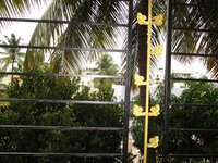 Balcony 1