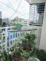 Balcony 1