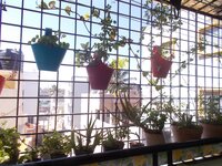 Balcony 1