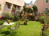 Front Yard 1