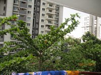 Balcony 2