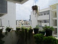 Balcony 1