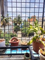 Balcony 1