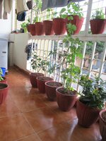 Balcony 1