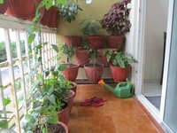 Balcony 1