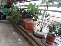 Balcony 1