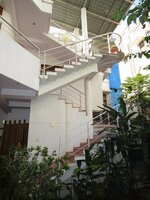 Back Yard 1