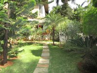 Front Yard 1