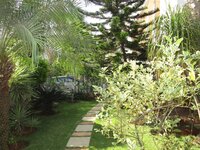 Front Yard 1
