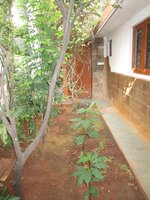 Garden 1