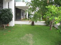 Garden 1