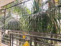 Balcony 2