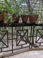 Balcony 1