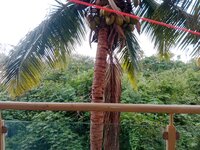 Balcony 1