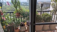 Balcony 1