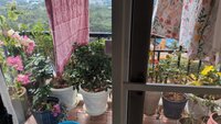 Balcony 1