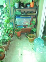 Balcony 1