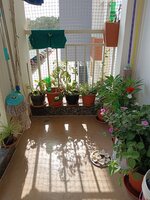 Balcony 1