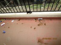 Balcony 1