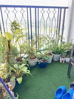 Balcony 1