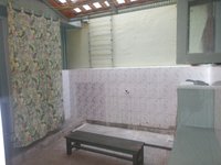 Back Yard 1