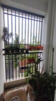 Balcony 1
