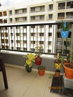 Balcony 1