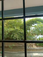Balcony 1