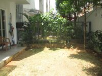 Garden 1