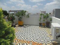 Terrace 1