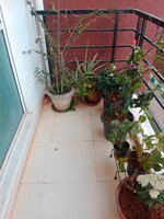 Balcony 2
