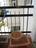 Balcony 1