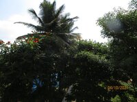 Balcony 1