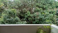 Balcony 1