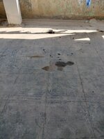 parkings 1
