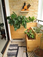 Balcony 1