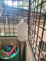 Balcony 1