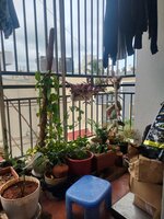 Balcony 1