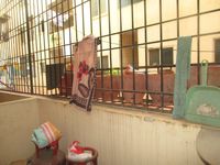 Balcony 1
