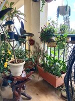Balcony 1