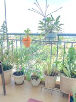 Balcony 3