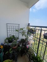 Balcony 1